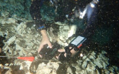 Short History of Cave Exploration in Mexico